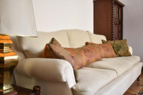 Historical Downtown Apartment